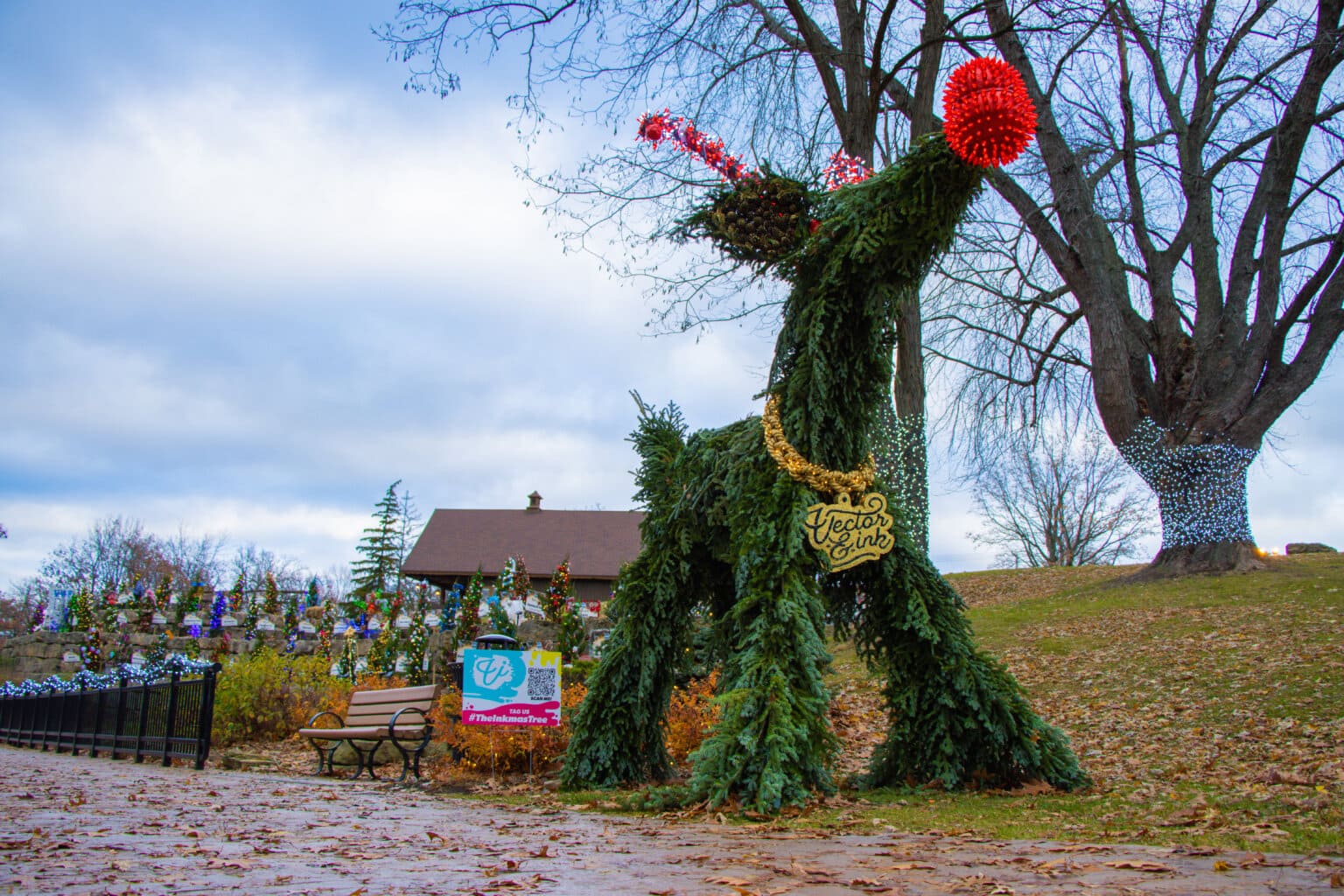 Bright Lights on Winter Nights Dells Christmas Tree Display Dryftlist